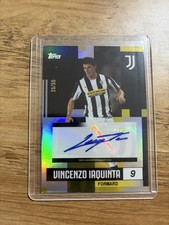 Vincenzo Iaquinta /50 Auto