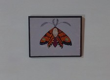 Falena SomniaLab#Quadro su