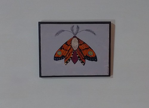 Falena somnialab quadro - falena, su