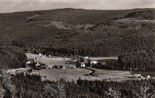 Prato uomo nella - , foresta
