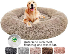 Cuccia per Cani, Cuccia Cane