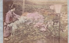 GIAPPONE - Giardinaggio - Albumina fotografica su cartone