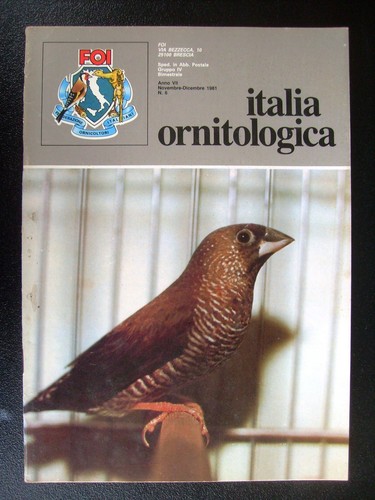 Italia ornitologica 1981 - italia,