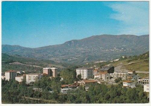 Silla gaggio montano - -,