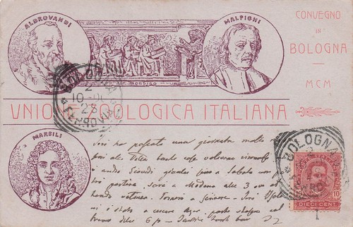 G4051 cartolina bologna - g4051),