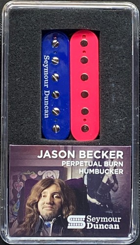 Seymour duncan jason - seymour,