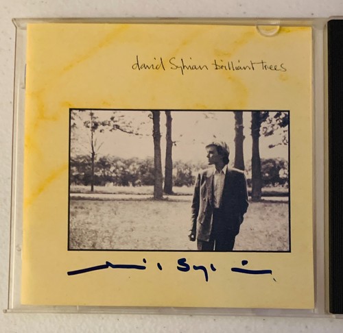 Album firmato david sylvian - album, cd