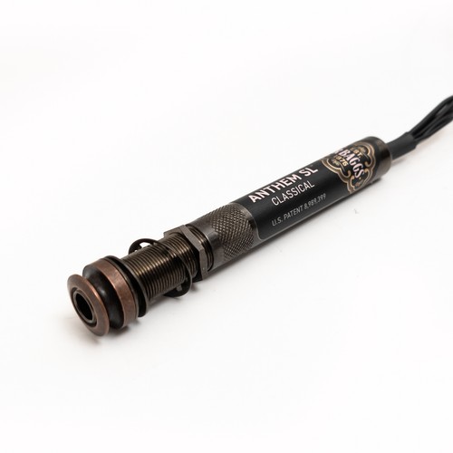 Baggs anthem c soundhole - anthem,