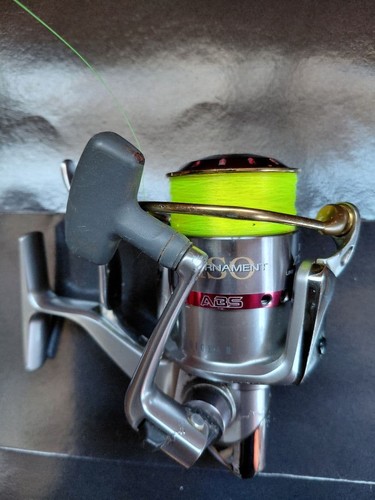 Daiwa tournament iso - tournament,
