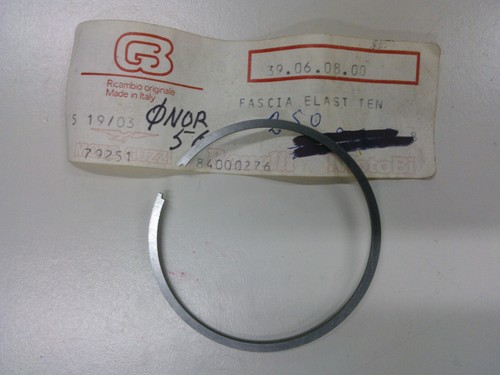 Fascia elastica segmento - fascia,