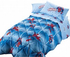 Trapunta/Piumone singola 1