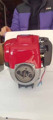 Motore per decespugliatore - motore,