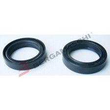 KIT PARAOLI PER FORCELLE 2