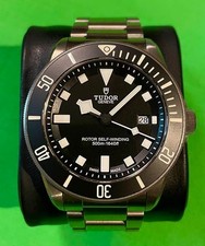 [Rare] Early Model Pelagos