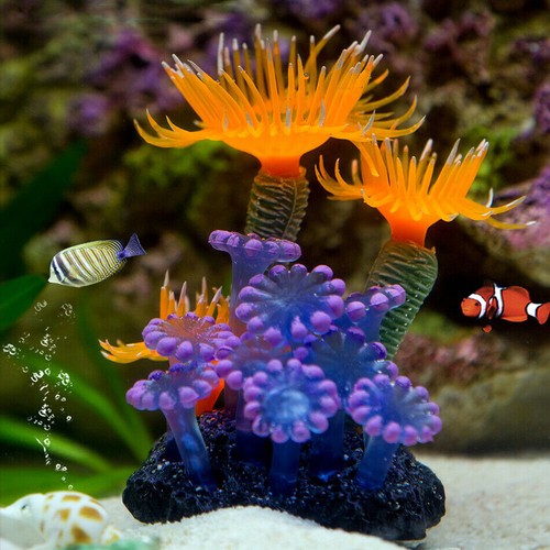Acquario pianta artificiale - acquario,