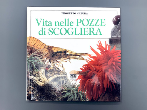 Vita nelle pozze - nelle,