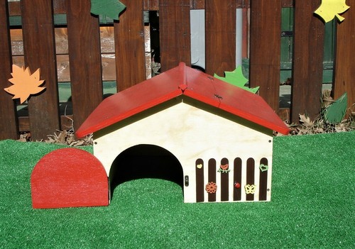Casa per tartarughe - casa,
