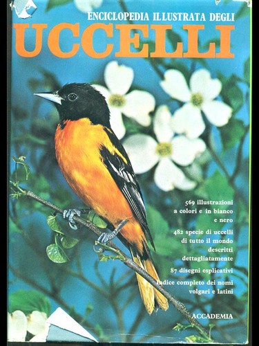 Enciclopedia illustrata degli - enciclopedia,