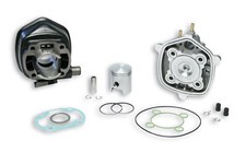 318556 GRUPPO TERMICO MALOSSI