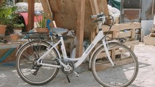 bicicletta elettrica pedalata