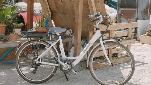 Bicicletta elettrica pedalata - bicicletta,