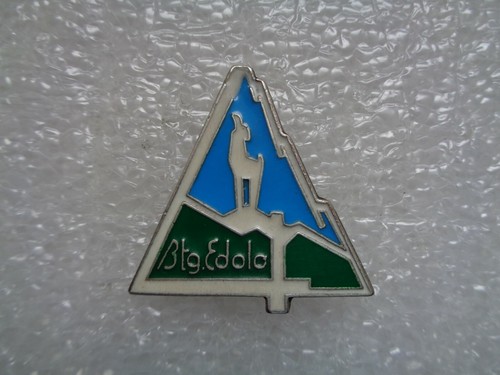 Distintivo alpini battaglione - distintivo,