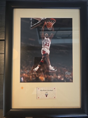 Foto michael jordan hof upper - foto,