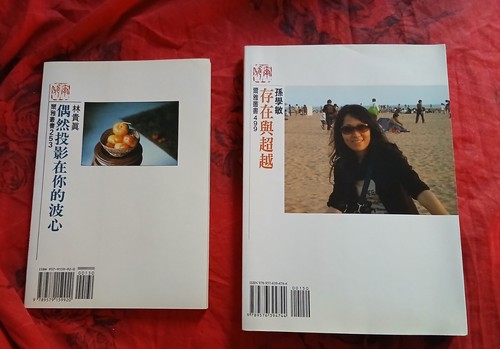 Narrativa letteraria cinese - letteraria,