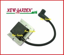 Bobina elettronica motore