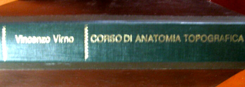 Corso anatomia topografica - anatomia,