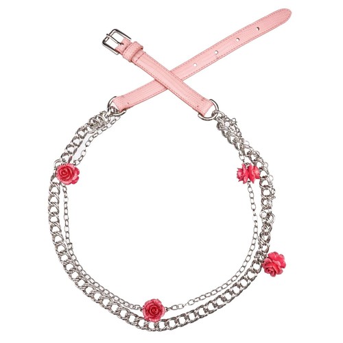 Dolce gabbana rose - rose, rosa