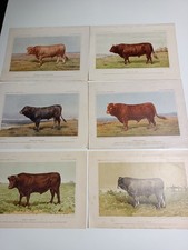 1899 1900 stampa - stampa, =