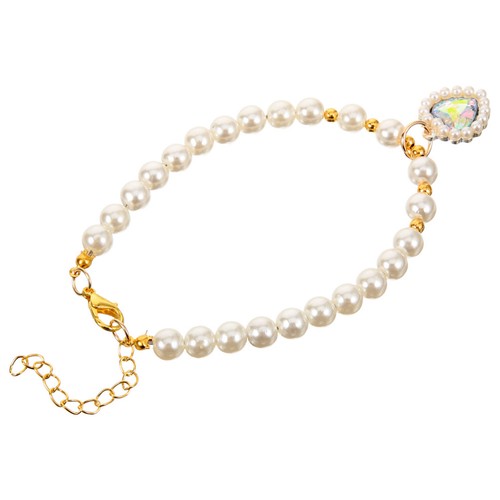 Accessori cane piccola taglia - accessori,