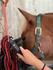 Taglierina stabile cortile di
