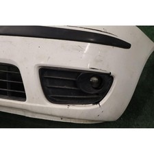 PARAURTI ANT. PREDISPOSTO