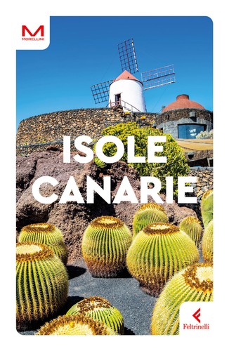 Isole canarie morellini - canarie,