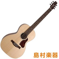 Chitarra elettrica acustica