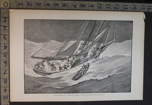 1897 pesce goletta grand banks - 1897,
