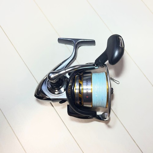 Mulinello spinning daiwa - da,