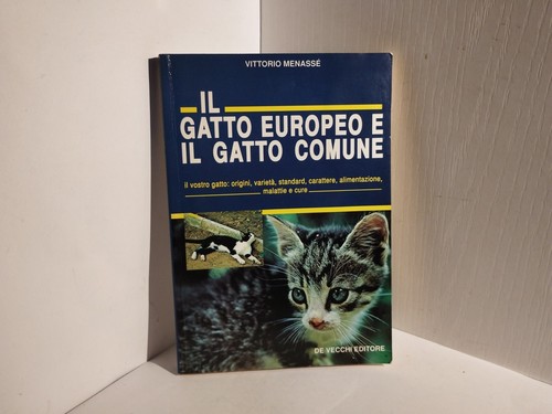 Gatto europeo il - europeo,