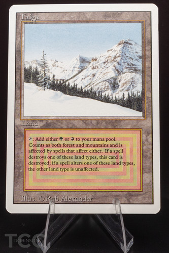 Taiga 1994 magic the - taiga,