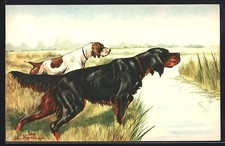 Gordon Setter si trova sul
