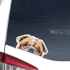 Adesivo auto Bulldog inglese