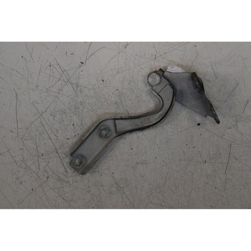 Cerniera cofano ant sx - cerniera,
