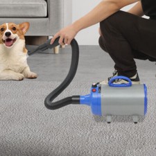 Asciugacapelli per Cani