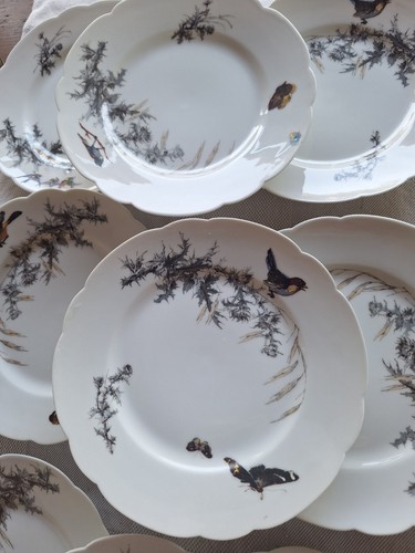Assiettes dessert haviland - 10,