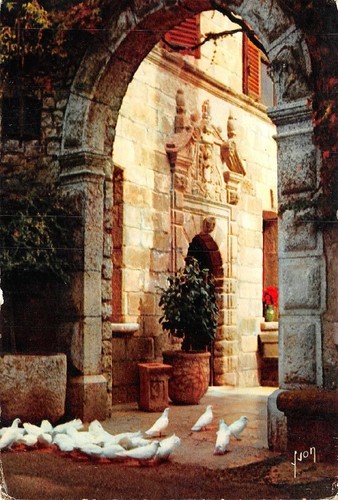 Colombe bianche saint - bianche, saint-paul