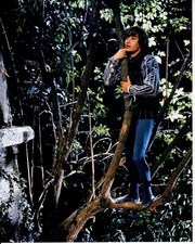 Leonard Whiting Romeo e