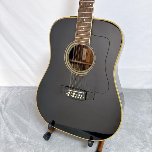 D01 takamine chitarra - d01,