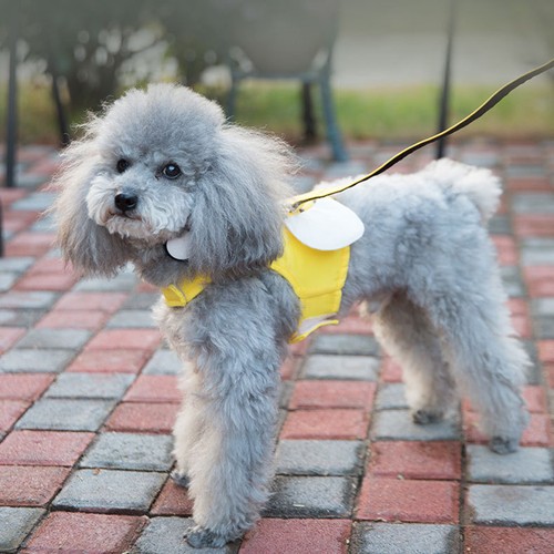 Pettorina per animali - ,